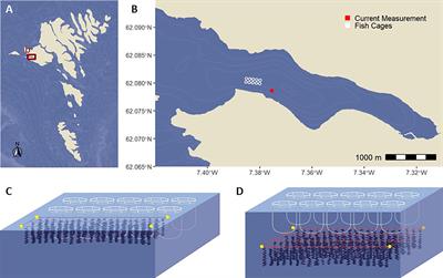 Modeling particulate waste assimilation by blue mussels within the spatial constraints of a commercial fish farm: implications for multitrophic aquaculture